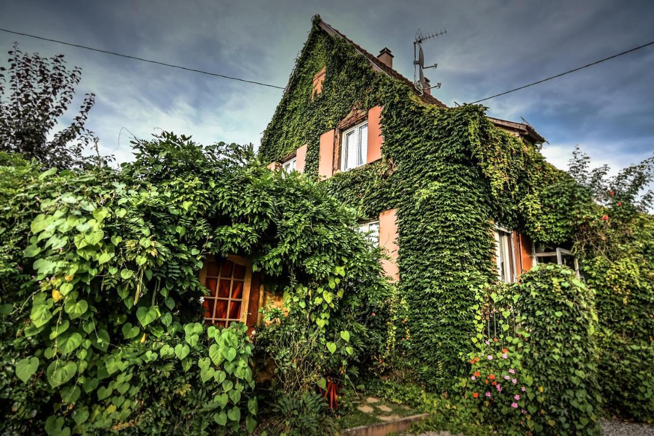 ❊ Au Murmure De L'Eau Au Coeur De L'Alsace ❊ Ebersheim Exteriér fotografie