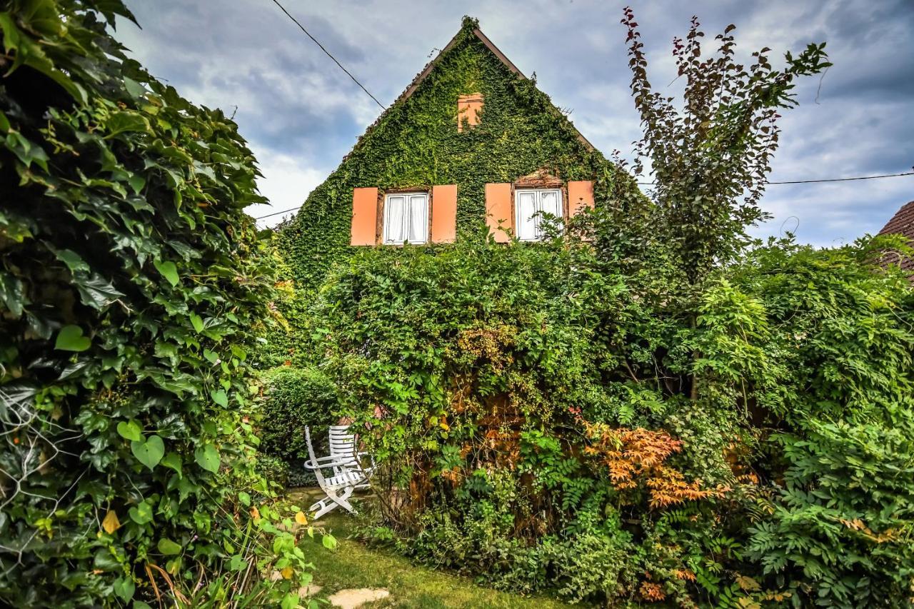 Vila ❊ Au Murmure De L'Eau Au Coeur De L'Alsace ❊ Ebersheim Exteriér fotografie